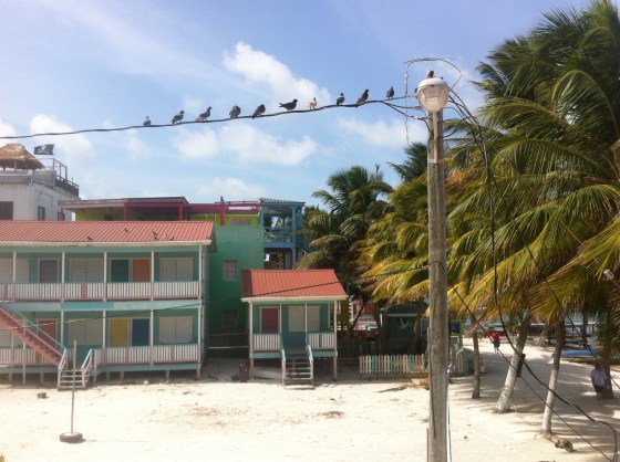 Caye Caulker, Belize