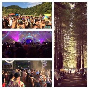 NORTHERN NIGHTS 2014