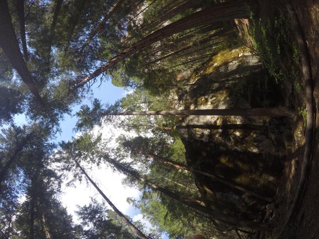 DCIM102GOPROG6746935.