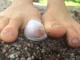 12421472_10153293244671769_1952843787_n