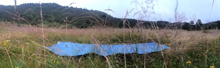 12557086_10153357558341769_681531771_o