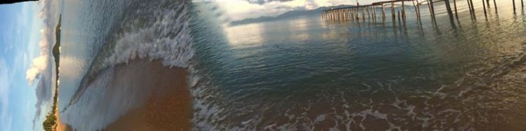 12562524_10153357763551769_1137937248_o