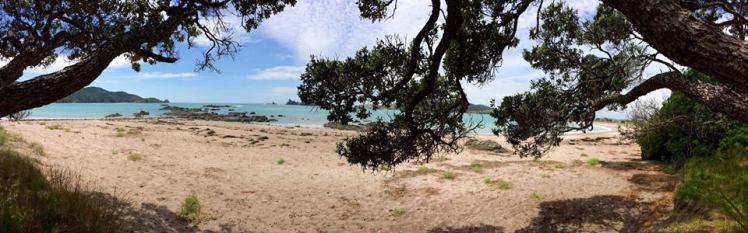 12575952_10153357774566769_463357510_n