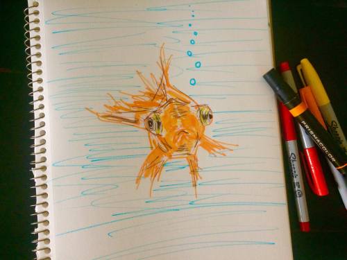 23768552_10155111557121769_1456547349_o