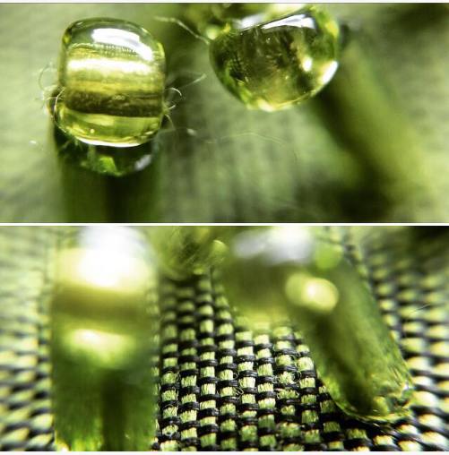 24171769_10155132993091769_153812673_n